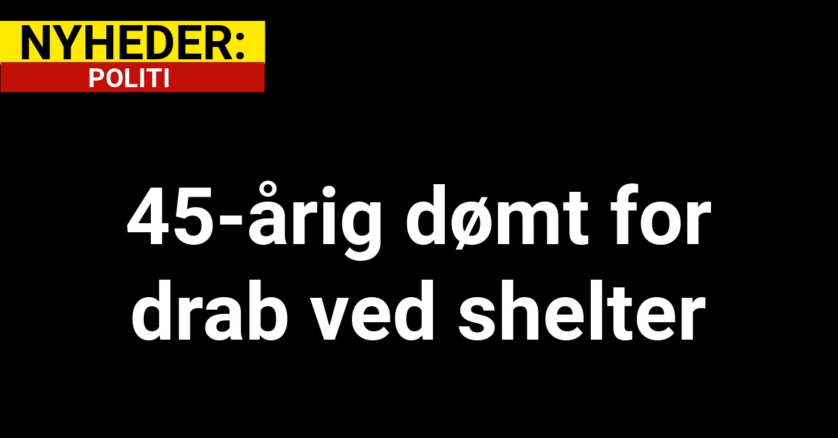 45-årig dømt for drab ved shelter