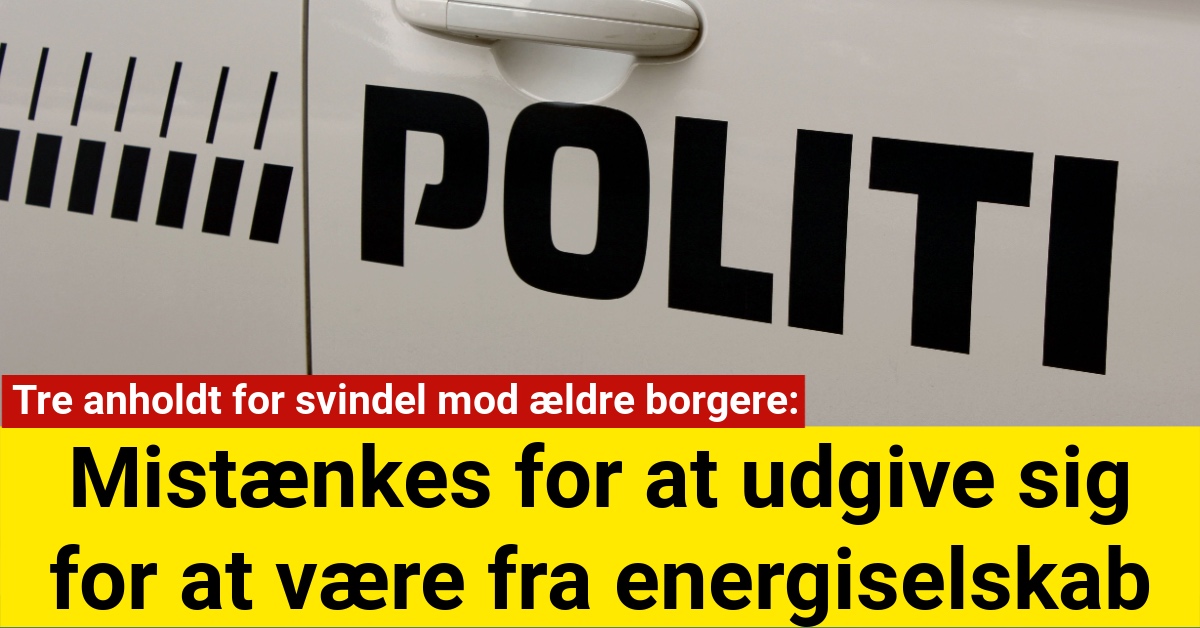 Tre anholdt for svindel mod ældre borgere: Mistænkes for at udgive sig for at være fra energiselskab