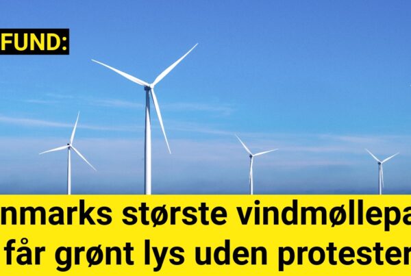 Danmarks største vindmøllepark får grønt lys uden protester