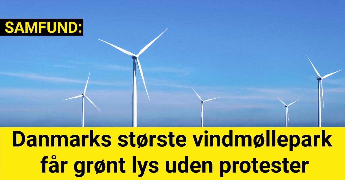 Danmarks største vindmøllepark får grønt lys uden protester