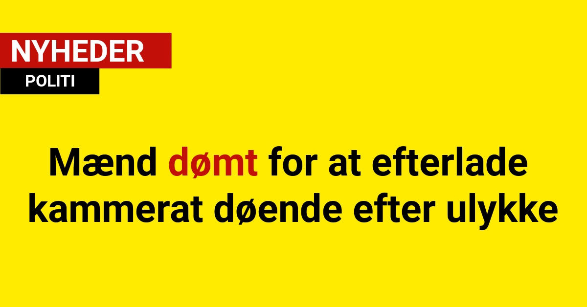 Mænd dømt for at efterlade kammerat døende efter ulykke