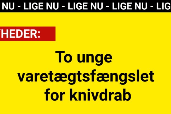 To unge varetægtsfængslet for knivdrab