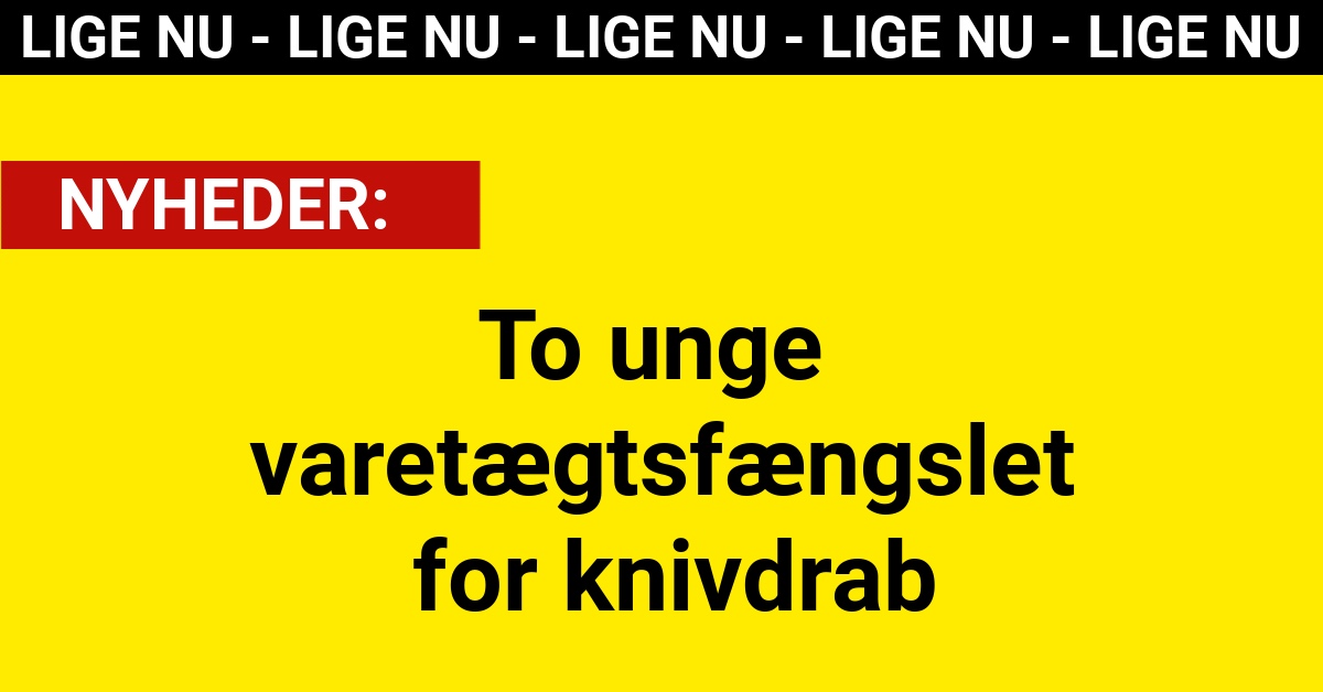 To unge varetægtsfængslet for knivdrab