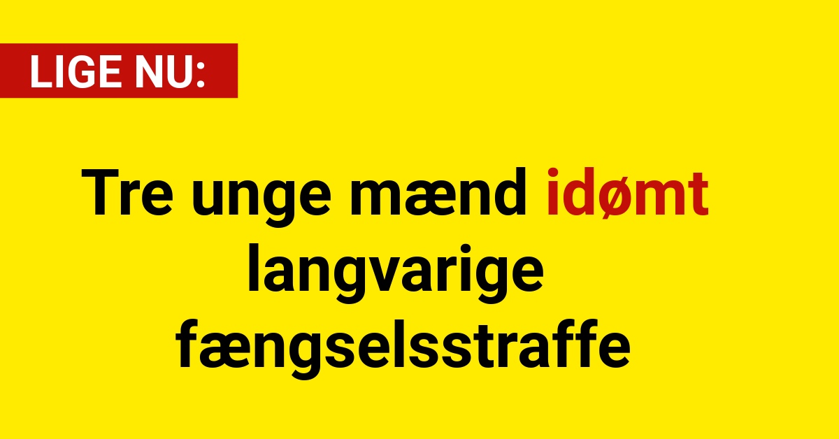 Tre unge mænd idømt langvarige fængselsstraffe