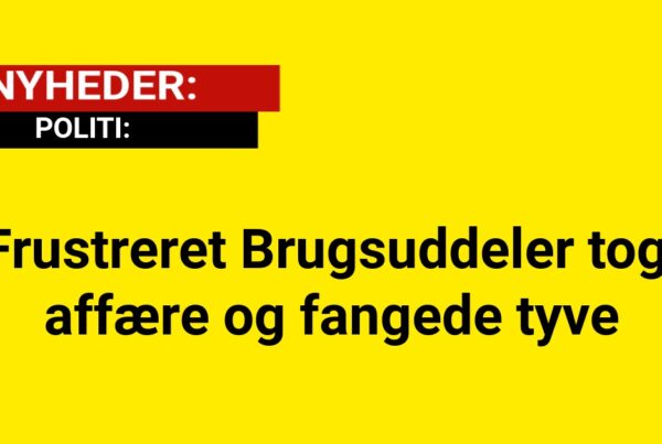 Frustreret Brugsuddeler tog affære og fangede tyve