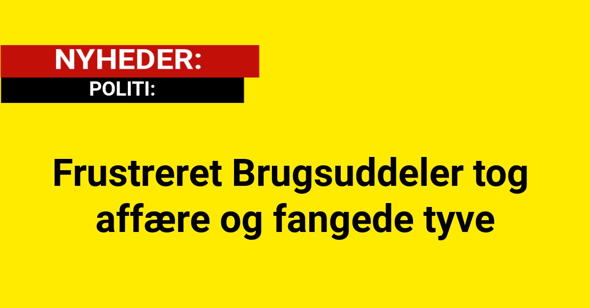 Frustreret Brugsuddeler tog affære og fangede tyve