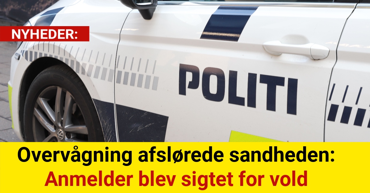 Overvågning afslørede sandheden: Anmelder blev sigtet for vold