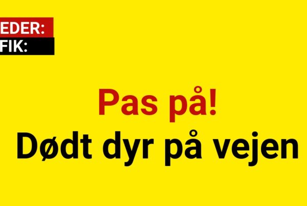 Pas på! Dødt dyr på vejen