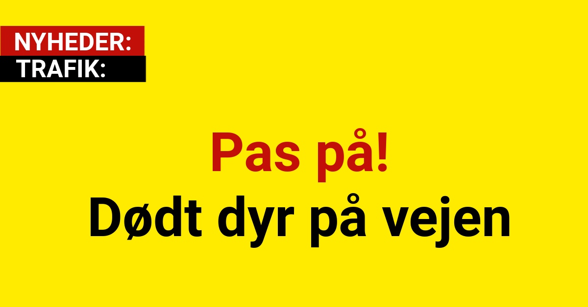 Pas på! Dødt dyr på vejen