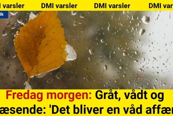 Fredag morgen: Gråt, vådt og blæsende: 'Det bliver en våd affære'