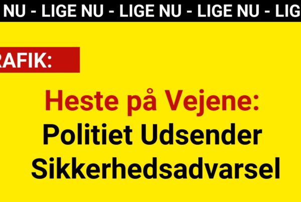 Heste på Vejene: Politiet Udsender Sikkerhedsadvarsel