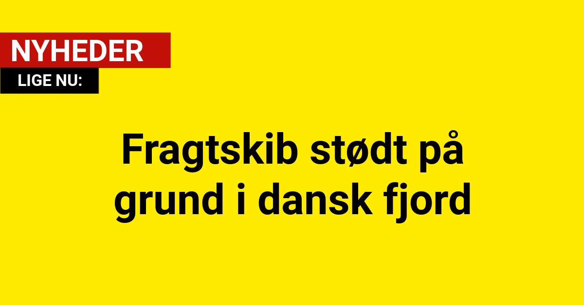 Fragtskib stødt på grund i dansk fjord