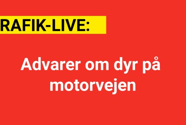 Advarer om dyr på motorvejen