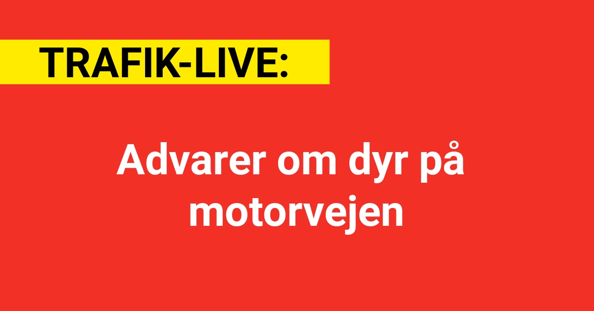 Advarer om dyr på motorvejen