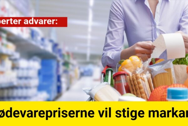 Eksperter advarer: