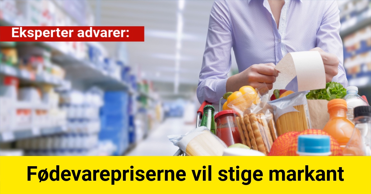 Eksperter advarer: