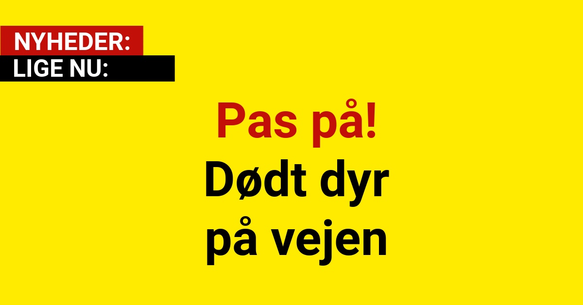 Pas på! Dødt dyr på vejen