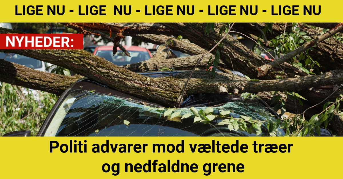 Politi advarer mod væltede træer og nedfaldne grene