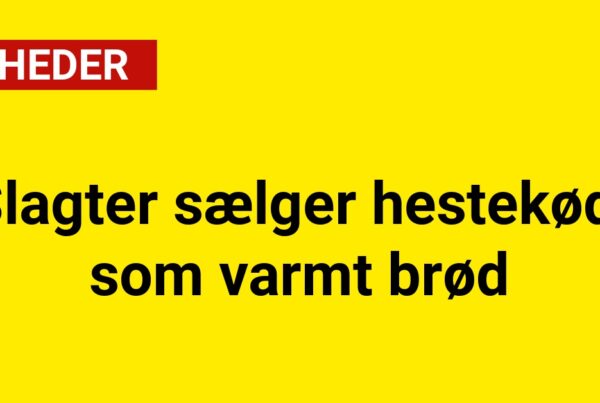 Slagter sælger hestekød som varmt brød