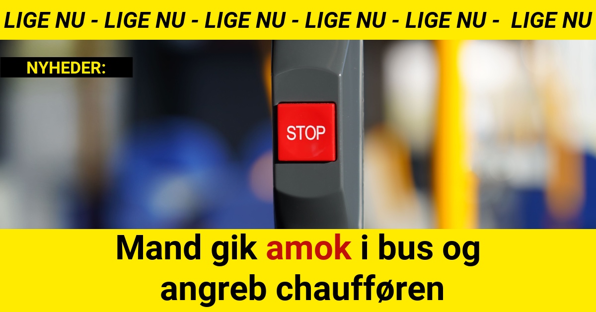 Mand gik amok i bus og angreb chaufføren