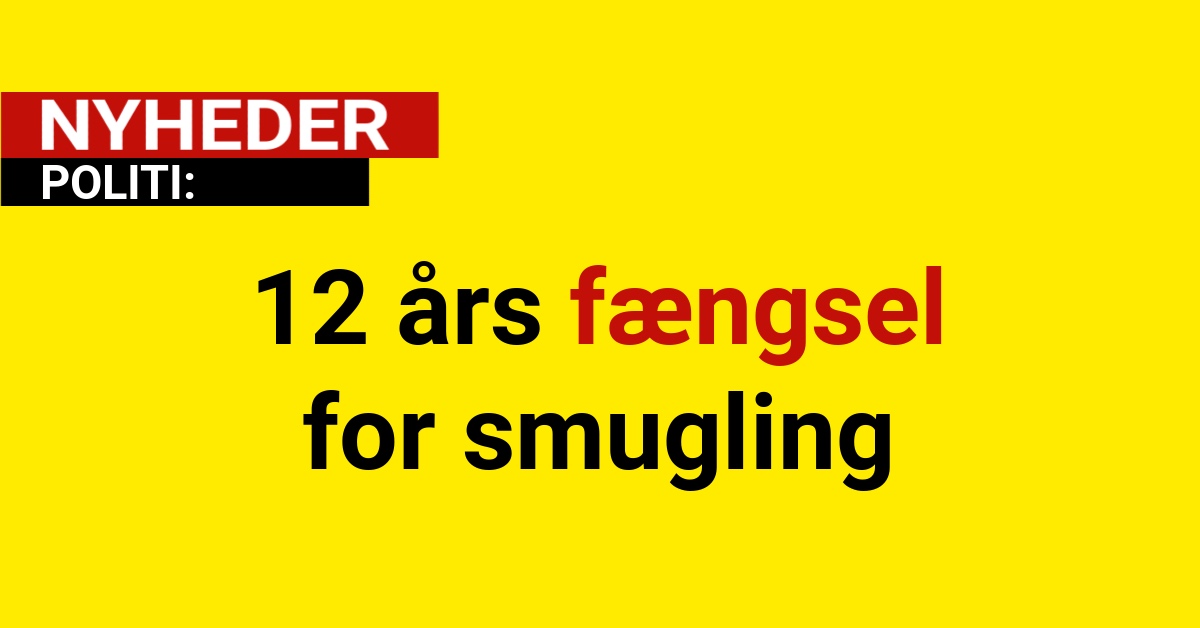 12 års fængsel for smugling