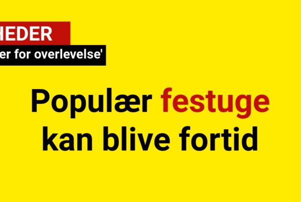 Populær festuge kan blive fortid: 'Kæmper for overlevelse'