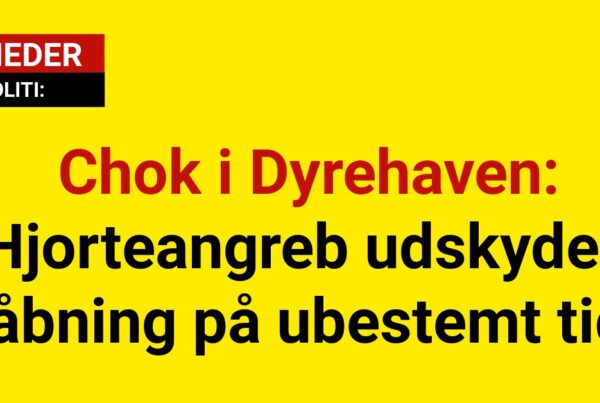 Chok i Dyrehaven: Hjorteangreb udskyder åbning på ubestemt tid