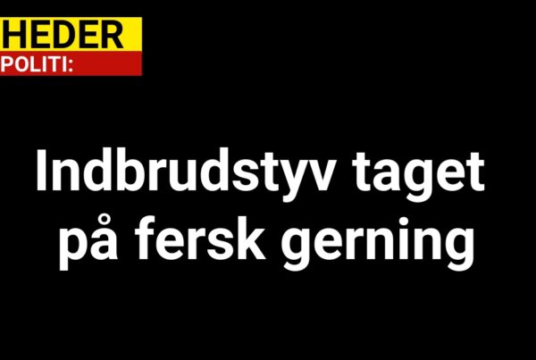 Indbrudstyv taget på fersk gerning