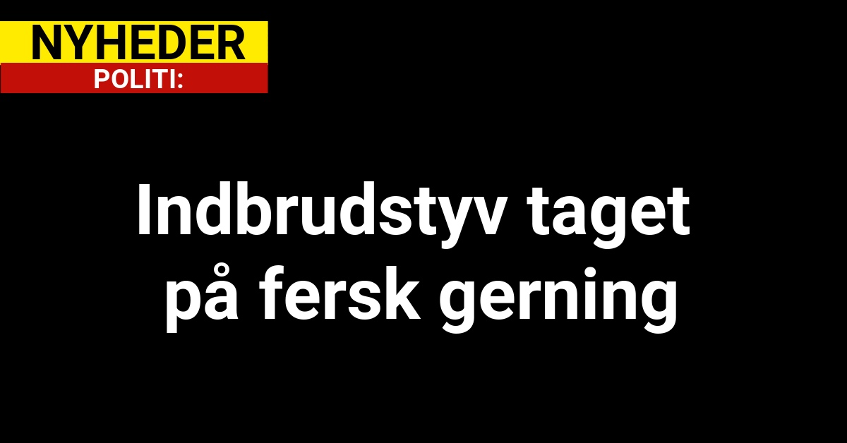 Indbrudstyv taget på fersk gerning