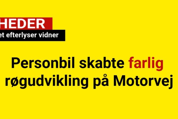 politiet efterlyser vidner