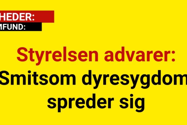 Styrelsen advarer: Smitsom dyresygdom spreder sig