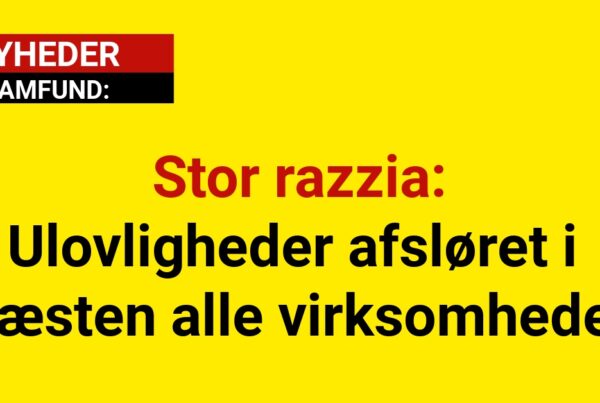 Stor razzia: Ulovligheder afsløret i næsten alle virksomheder