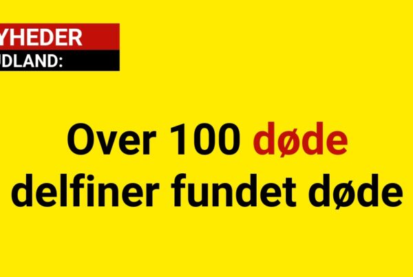 Over 100 døde delfiner fundet døde