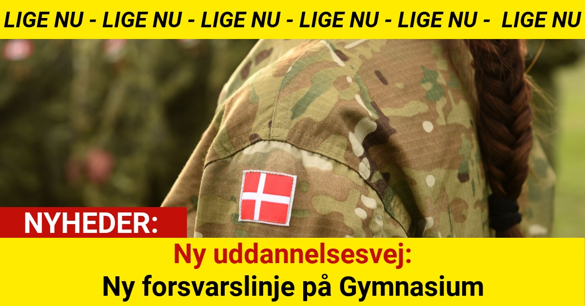 Ny uddannelsesvej: Ny forsvarslinje på Gymnasium