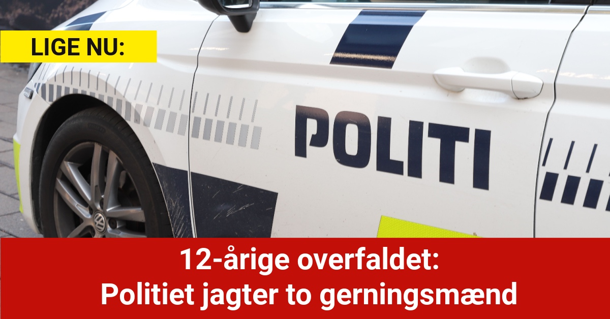 12-årige overfaldet: Politiet jagter to gerningsmænd