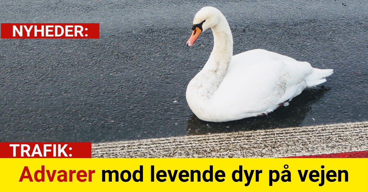 Advarer mod levende dyr på vejen