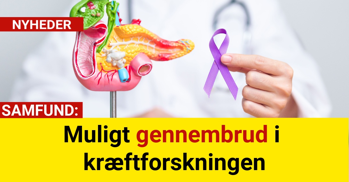 Muligt gennembrud i kræftforskningen