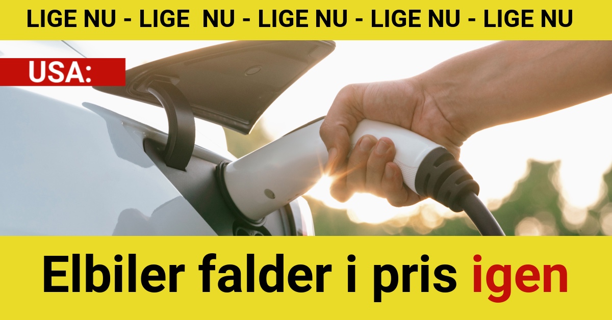 Elbiler falder i pris igen