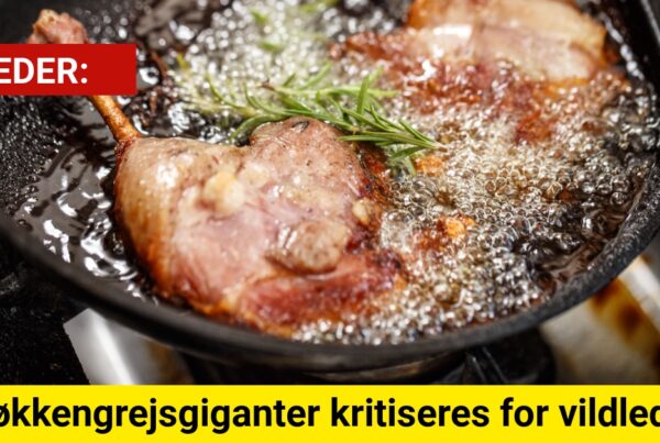 To køkkengrejsgiganter kritiseres for vildledning