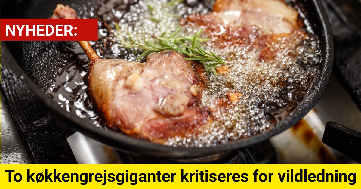 To køkkengrejsgiganter kritiseres for vildledning