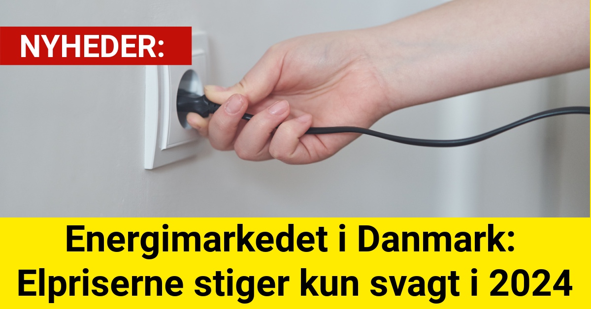 Energimarkedet i Danmark: Elpriserne stiger kun svagt i 2024