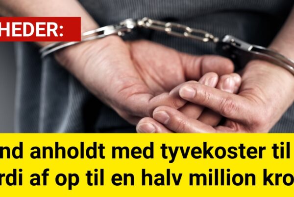 Mand anholdt med tyvekoster til en værdi af op til en halv million kroner