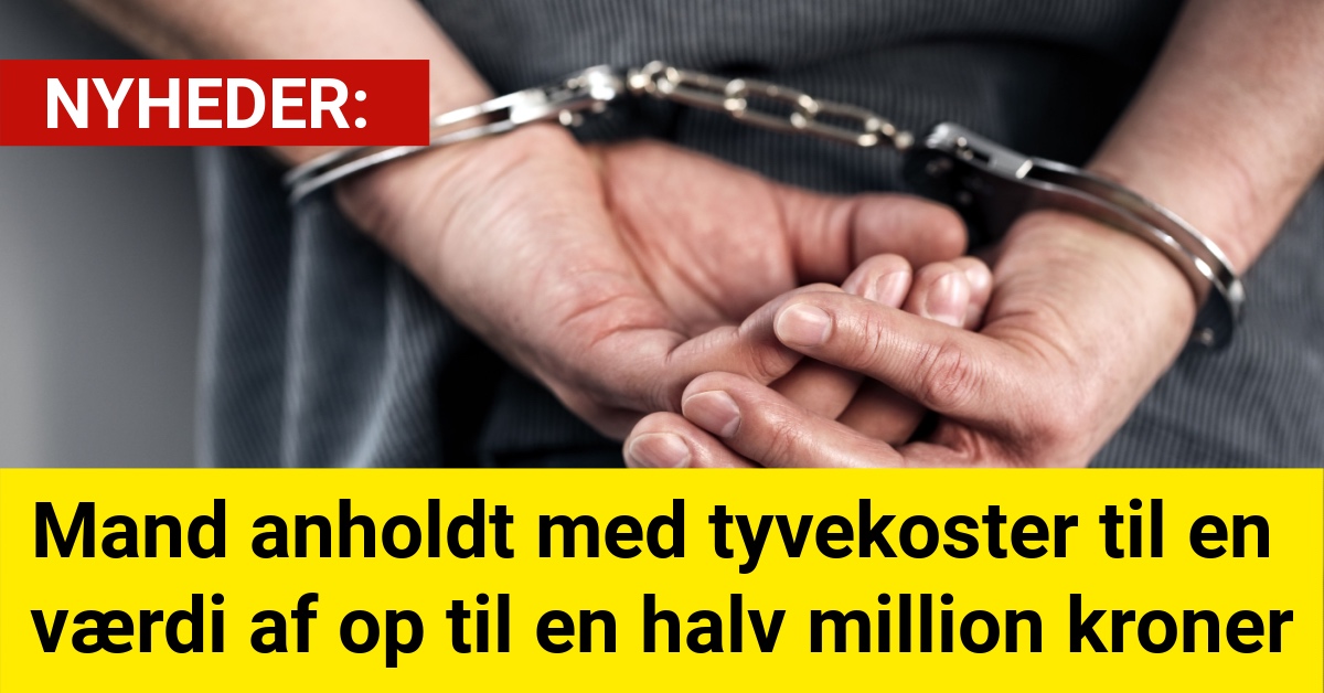 Mand anholdt med tyvekoster til en værdi af op til en halv million kroner