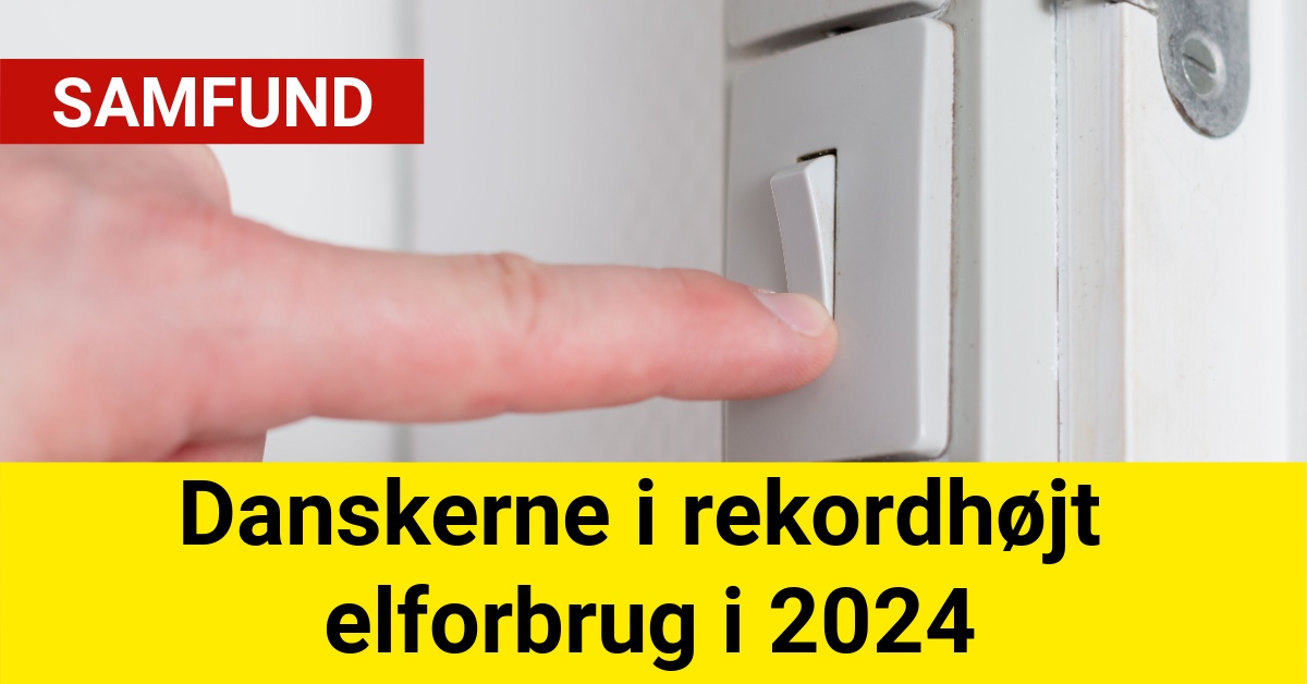 Danskerne i rekordhøjt elforbrug i 2024