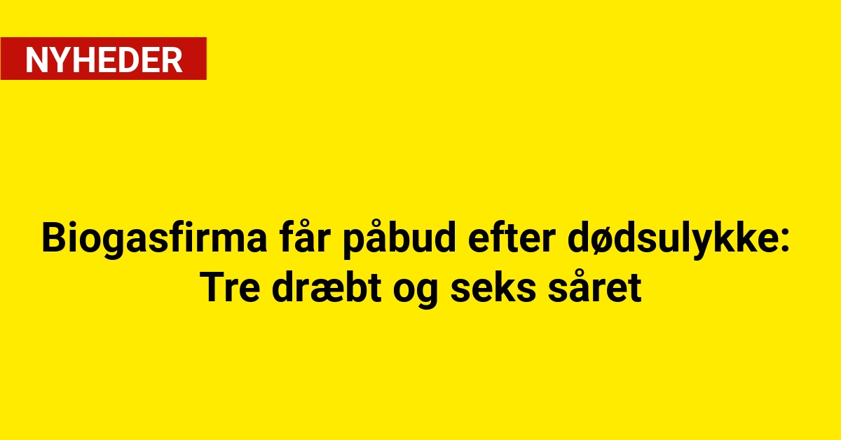 Biogasfirma får påbud efter dødsulykke: Tre dræbt og seks såret