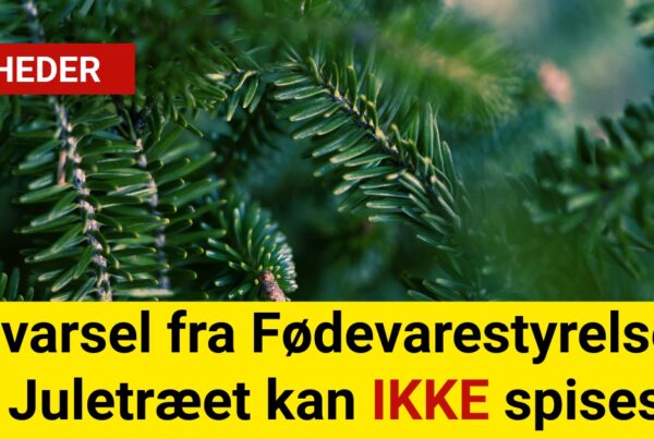 Advarsel fra Fødevarestyrelsen: Juletræet kan IKKE spises