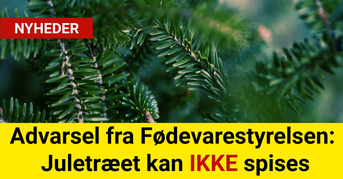 Advarsel fra Fødevarestyrelsen: Juletræet kan IKKE spises