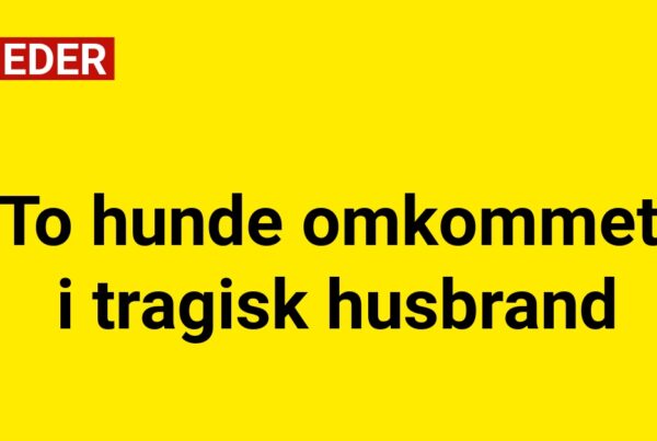 To hunde omkommet i tragisk husbrand