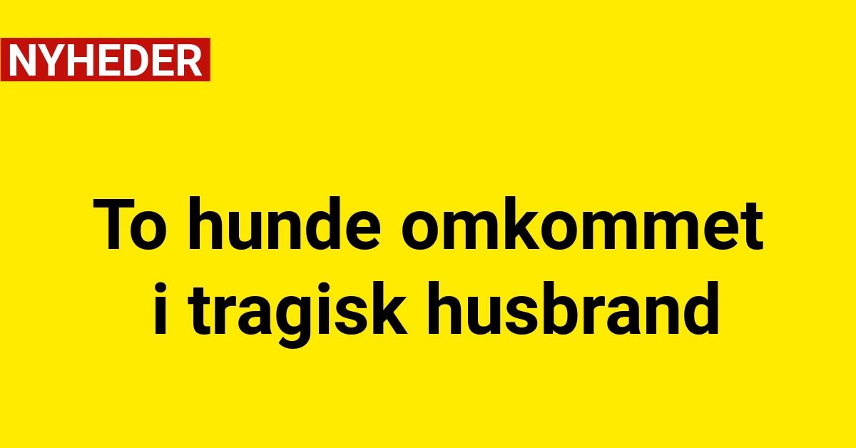 To hunde omkommet i tragisk husbrand