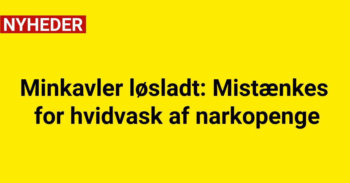 Minkavler løsladt: Mistænkes for hvidvask af narkopenge